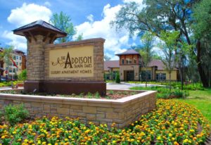 The Addison at Tampa Oaks