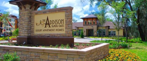 The Addison at Tampa Oaks
