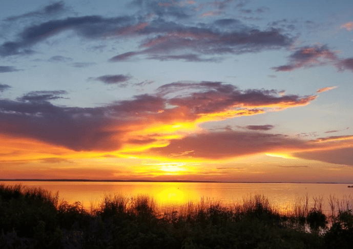 Lake Apopka Florida